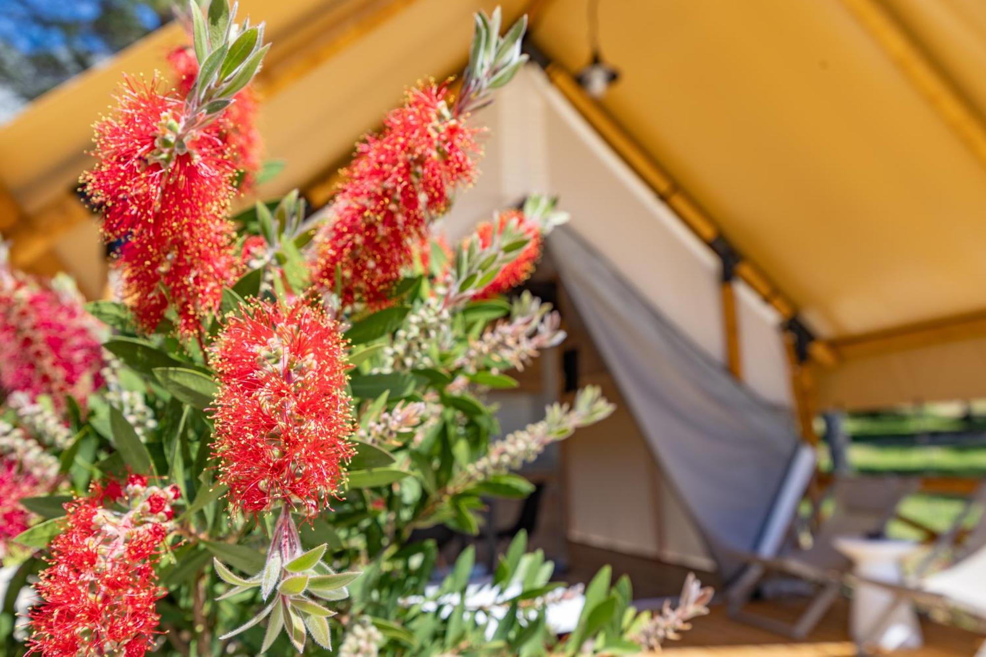 Camp Dole Zivogosce - Mobile Home And Glamping Tent Kültér fotó